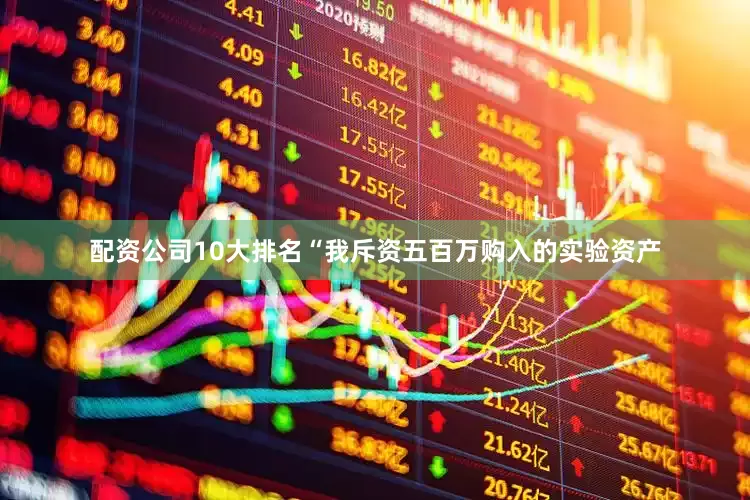 配资公司10大排名“我斥资五百万购入的实验资产