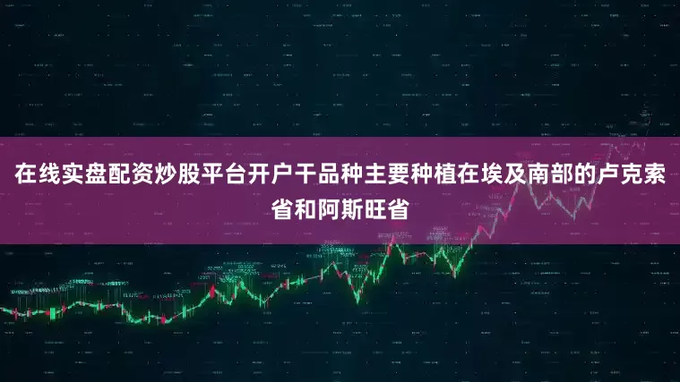 在线实盘配资炒股平台开户干品种主要种植在埃及南部的卢克索省和阿斯旺省