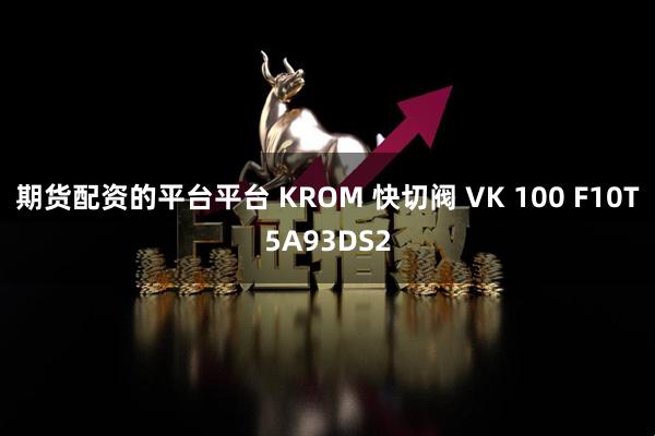 期货配资的平台平台 KROM 快切阀 VK 100 F10T5A93DS2